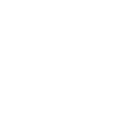 bluesky icon