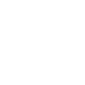 program icon