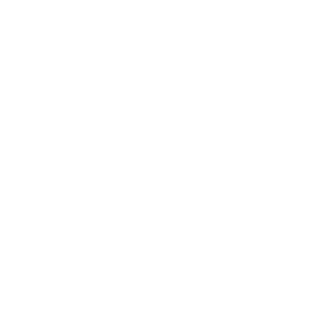 play icon